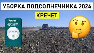 Уборка Подсолнечника 2024 |  Гибрид Кречет | 10 августа 2024