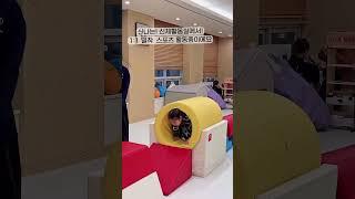 강남엄마들 사이에 핫한 영어 유스클럽 블루타이거