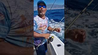 TENERIFE FISHING TRIP - TUNA CATCHING ON YATE SOFIA - 4K - 2024