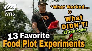 Top 13 Food Plot Planting Success And Failures