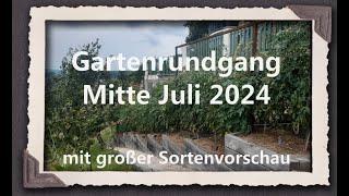 Gartenrundgang Mitte Juli 2024