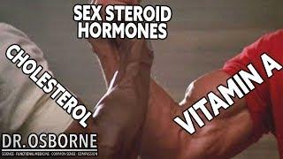 Vitamin A - Hormones and Your Thyroid Function