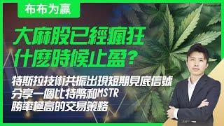 【布布为赢】大麻股已经疯狂，什么时候止盈？特斯拉技术共振出现短期见底信号；分享一个比特币和MSTR胜率极高的交易策略