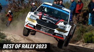 Best of Rally 2023 | Big Show & Action