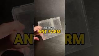 Making an Ant Farm For Pet Ants