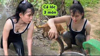 Đổ đơn dính con cá lóc và mớ cua em đem về nấu 3 món ăn sạch nồi cơm #thanhgiangvlog