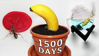 1500 DAYS WASTED! - All my failed time lapses