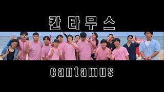 딜레마 , covered by cantamus