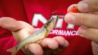 Fishing Tip - Rigging Chubs for Jigging - The Next Bite Season #9 Episode #7