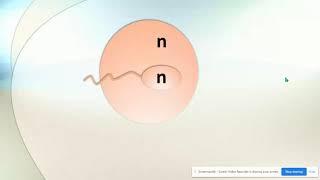 Haploid vs Diploid & Homologous Chromosomes