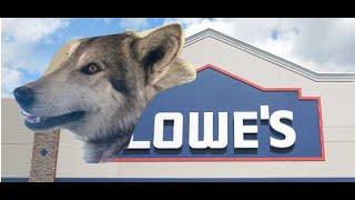 We Took Wolfdogs to Lowes & Other Places and This is What Happened