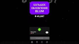 Когда Blum раздаст дроп? Обновление Блум #airdrop