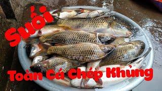 Ngăn Dòng Bắt Cá Khủng  Poòng Văn Quỳnh