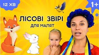  Тварини в лісі - навчальне відео українською для дітей