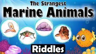 Guess the Strangest Marine Animals – Quiz for Kids! | Can You Name The Ten Bizarre Marine Creatures?