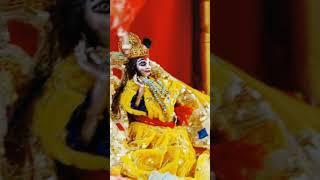 Madhav Rai  #jaishreekrishna #bhakti #shorts #trandingshorts