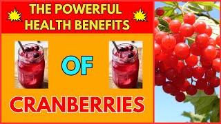 Exploring The Health Benefits of Cranberries || MEDIPLANTA