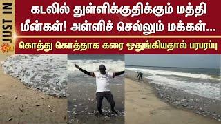 Kerala | Kozhikodu | Thousands of sardines leap out of water | Sun News