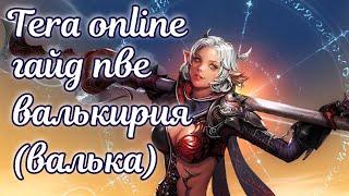  Tera online гайд валькирия пве  актуально 2024 для Menma и Asura