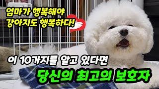 강아지를 행복하게 만들어 주기 위해 보호자가 알아야 할 10가지【feat. 강아지행복 / 강아지애정표현】