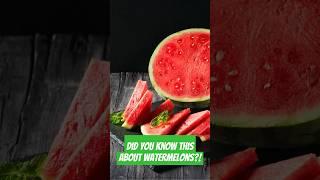 Watermelons: The Confusing Fruit That’s Actually a Veggie