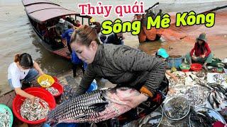 Xuất hiện thủy quái Sông Mê Kong - độc lạ mùa cá linh bắt đầu chợ Tân Châu An Giang