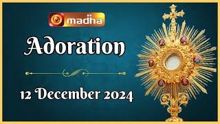  LIVE 12 December 2024 | Adoration 11:00 AM | Madha TV