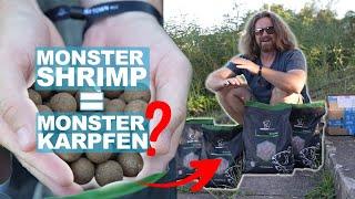 Monster Fänge mit Monster Shrimp?! Die neuen Nash Baits im Unboxing