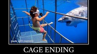 Sharks all endings meme.