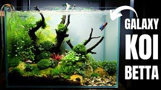 AQUASCAPE TUTORIAL: Planted NANO BETTA TANK For a Special Betta!