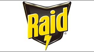 Raid Alert