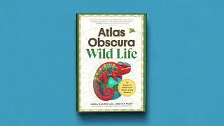 Atlas Obscura: Wild Life