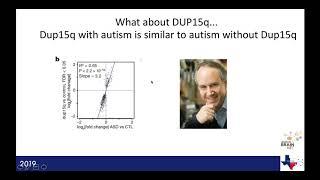 Dup15q Alliance Webinar Series: Autism BrainNet