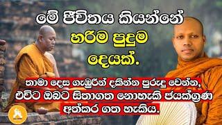 තාමා දෙස ගැඹුරින් දකින්න පුරුදු වෙන්න,ඔබට සිතාගත නොහැකි ජයක්ග්‍රණ හිමි වේ|Hasalaka Seelawimala thero