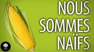 Are GMOs bad for your health? (no) - DBY #27