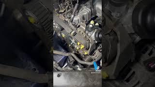 VW TDI Timing Belt