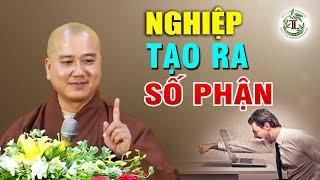 Nghiệp tạo ra số phận _ Thầy Thích Pháp Hòa ( Giảng Hay Quá)