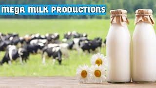 Mega Milk Productions: From Cows to Global Exports