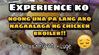 MGA NA EXPERIENCE KO SA PAG AALAGA NG BROILER CHICKEN | PARAAN NA GINAWA KO PARA MAY KITA PA DIN