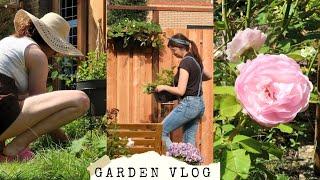 The Garden Is Expanding! Planting Shrubs & Flower Tour  Garden Vlog