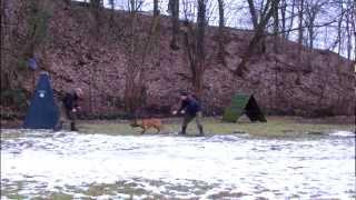 IPO Schutzhunde Sport - Das interne Belohnungssystem des Gehirns