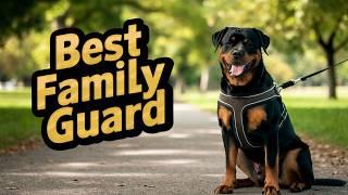 Are Rottweilers the Best Guard Gogs You Can Own? | Cane Corso | Pit Bull | Puppy Training