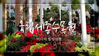 겨울여행지/국립세종수목원/세종가볼만한곳/어니의 힐링여행