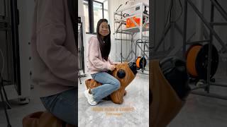 3D printing Capybara with Dowell 3D printer#3dprinter  #machine  #3dprinterupgrade  #dowell3d