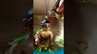 gopu sona r Sanu dorshon koro sobay Radhe Radhe 