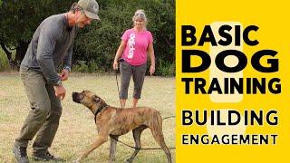 Dog Training Basics Get Your DOG to Focus on YOU