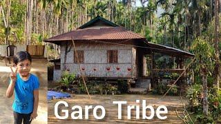 Life & food of garo tribe in meghalaya | Living with garos | Garo tribe in meghalaya | garo hills