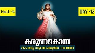 കരുണകൊന്ത | 2025 മാർച്ച് 14 | Day -12 | Fr. Samson Christi PDM