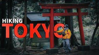 Top 5 BEST Hiking in Japan Day Trips near Tokyo (Mountain Climbing)