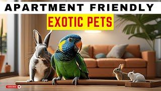 Urban Jungle: Exotic Pets for Apartment Living